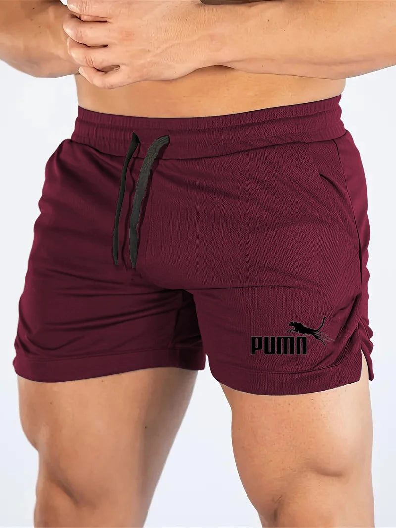 Summer Mesh Quick Drying Shorts